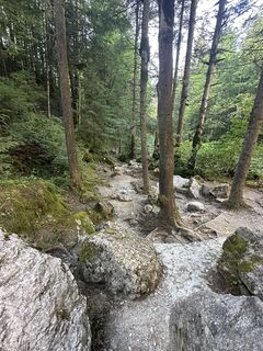 Foto von Cyrill Bischof entlang der Tour