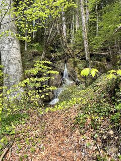 Foto von Stefanie Göppel entlang der Tour
