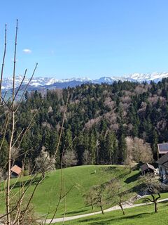 Foto von pflodii entlang der Tour