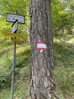 Foto von Andreas Gramsel entlang der Tour