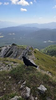 Foto von Klementina Gartner entlang der Tour