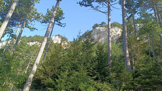Foto von Bergpirat entlang der Tour