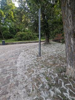 Fotografija s spletne strani hochlandfamilie na poti