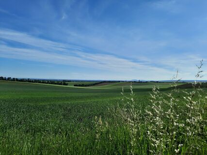 Blick Richtung Gaubitsch