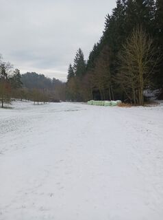 Fotografia z Burgim65 na trase