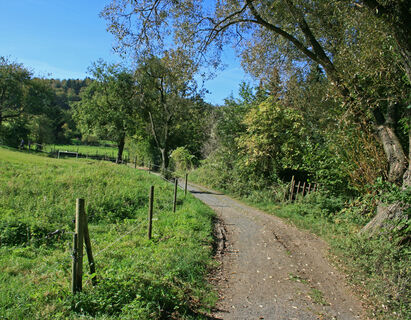 Rosenauwiesen-Buschhofweg