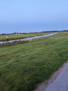 Photo de Juergen Tiedge le long du parcours