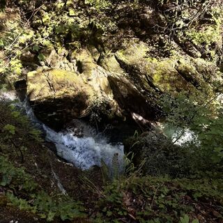 Photo de Alfred Zahnd le long du parcours