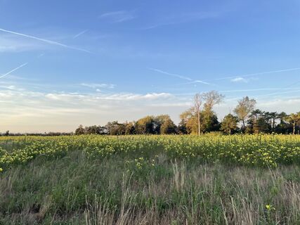 Photo de Alberto Ghiretti le long du parcours