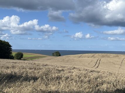 Fotografia z Michaela Borchers na trase