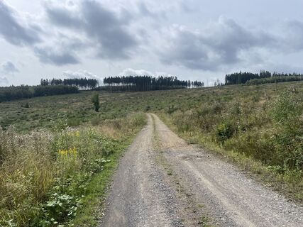 Photo de Sanca le long du parcours