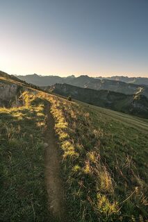 Auf dem Weg zur Winterstaude