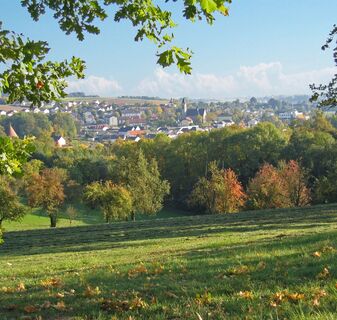 Aussicht Schwertberg