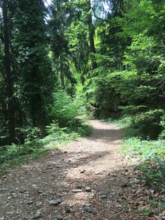 Foto von Sondermeier entlang der Tour