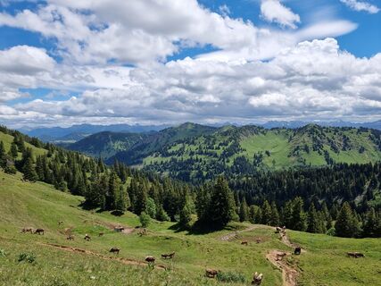 Foto von Felix entlang der Tour