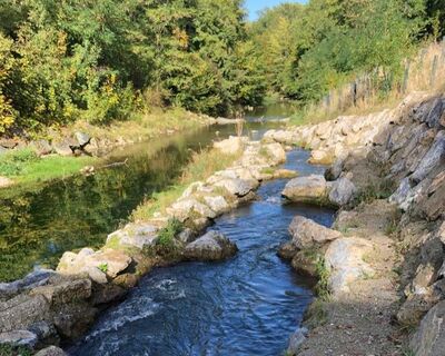 Wasserbecken und Aufstiegshilfen für die in der Triesting lebenden Fische