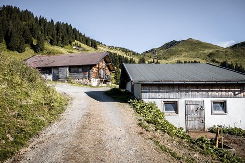 Schwarzkogel_Kitzbüheler Alpen - Brixental_Mathäus Gartner_FULL04.jpg