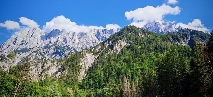 Fotografija s spletne strani ReginaSt na poti