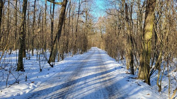 Photo de Bergfex User le long du parcours