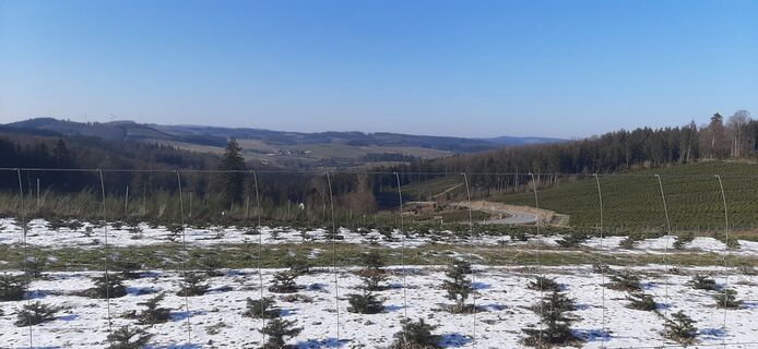 Photo de Georg Meisterjahn le long du parcours