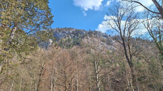 Photo de RobuC le long du parcours