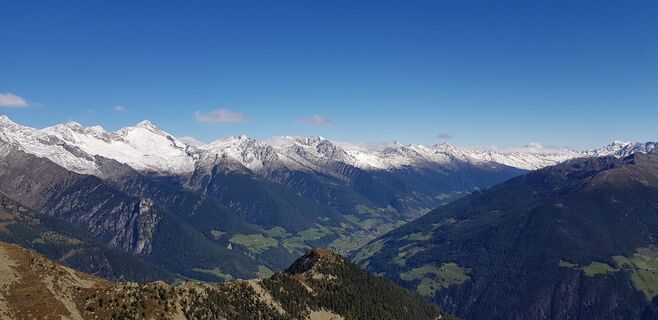 Foto von JOGI entlang der Tour