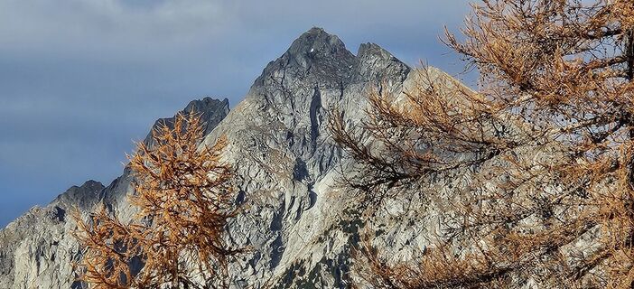 Fotografija s spletne strani Roswitha Polz na poti