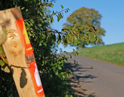holzpfosten-logo-hartenberg.jpg