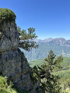 Fotografija s spletne strani Henning Baucks na poti
