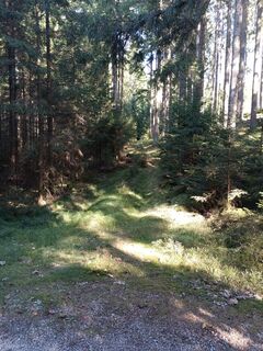 Photo de Tom (tommyp1608) le long du parcours