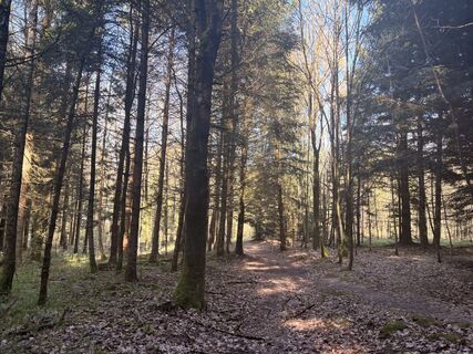 Photo de Nina Astleitner le long du parcours