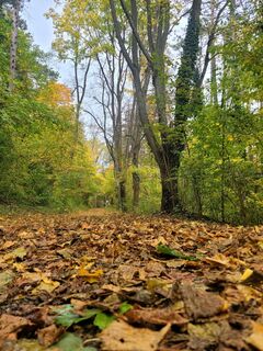 Photo de mmecki le long du parcours