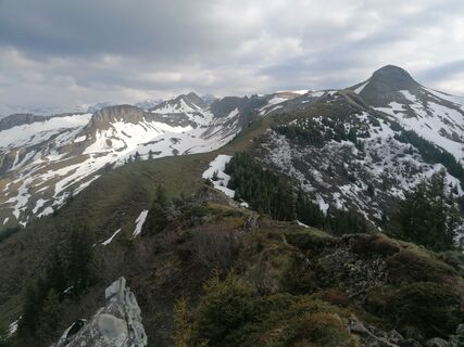 Fotografija s spletne strani luyyy na poti