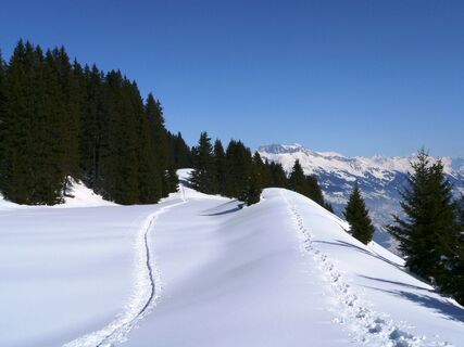 Schneeschuhspuren auf dem "Scäri"
