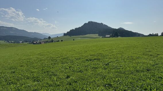 Fotografija s spletne strani peter_oe na poti