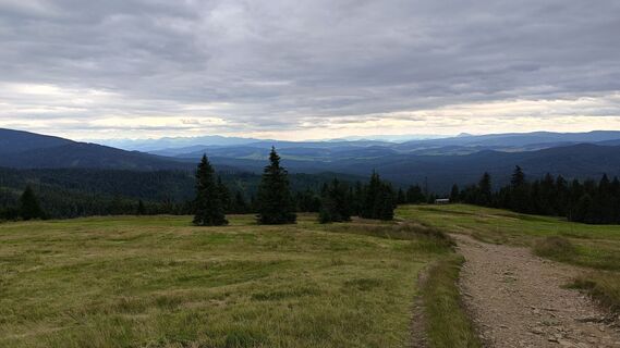 Zdjęcie z Romek Dwornik wzdłuż trasy
