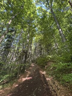 Fotografia z RS76 na trase