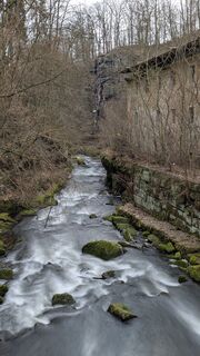 Fotografia z hochlandfamilie na trase