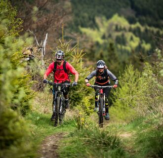 Mountainbiker auf Grastrail in Willingen