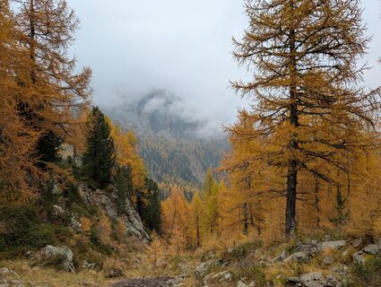 Foto von Leif entlang der Tour