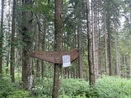 Foto von firebird 93 entlang der Tour
