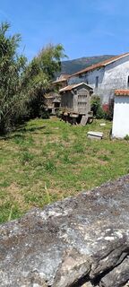 Fotografija s spletne strani Edit Szoboszlay na poti