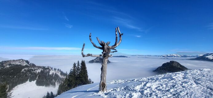 Foto von Isabella Leopolder entlang der Tour