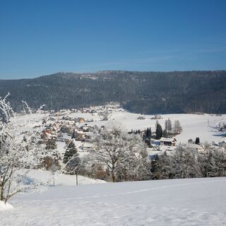 Zemljevid