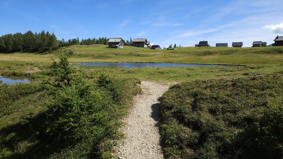 Fotografie de la kriessda de-a lungul turului