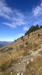 Fotografija s spletne strani Dominique Vlach na poti
