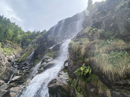 Fotografija s spletne strani Nseveon na poti