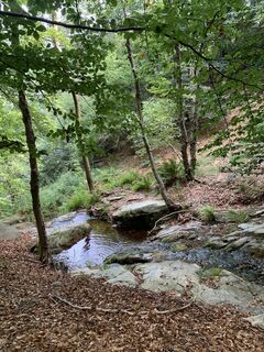 Foto de Koen De Wit a lo largo del recorrido