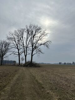 Fotografija s spletne strani Babs Holz na poti