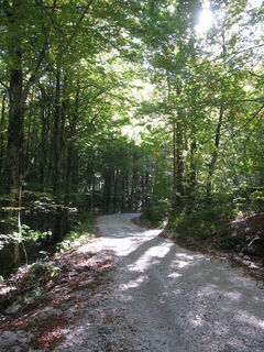 Fotografija s spletne strani Gianberto Zilli na poti